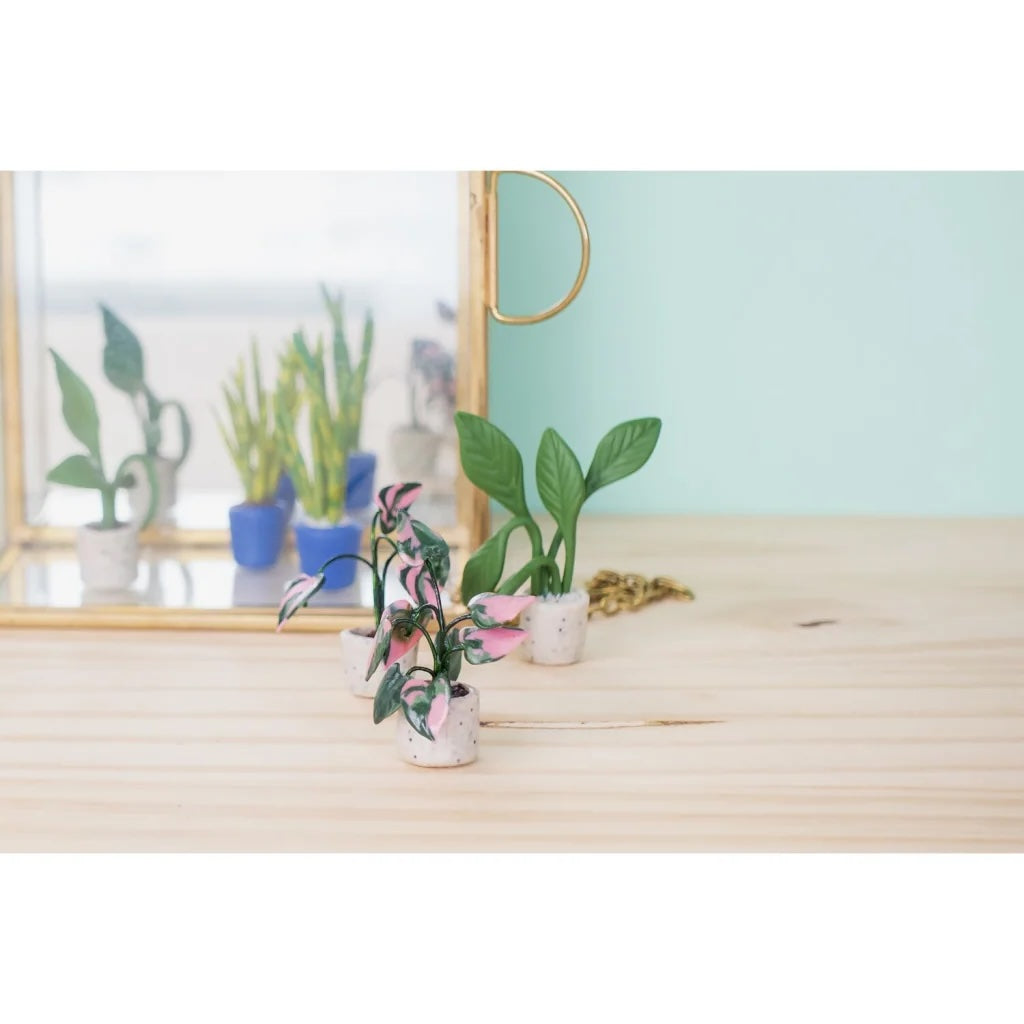 Polymer Clay Mini Plants DIY Kit