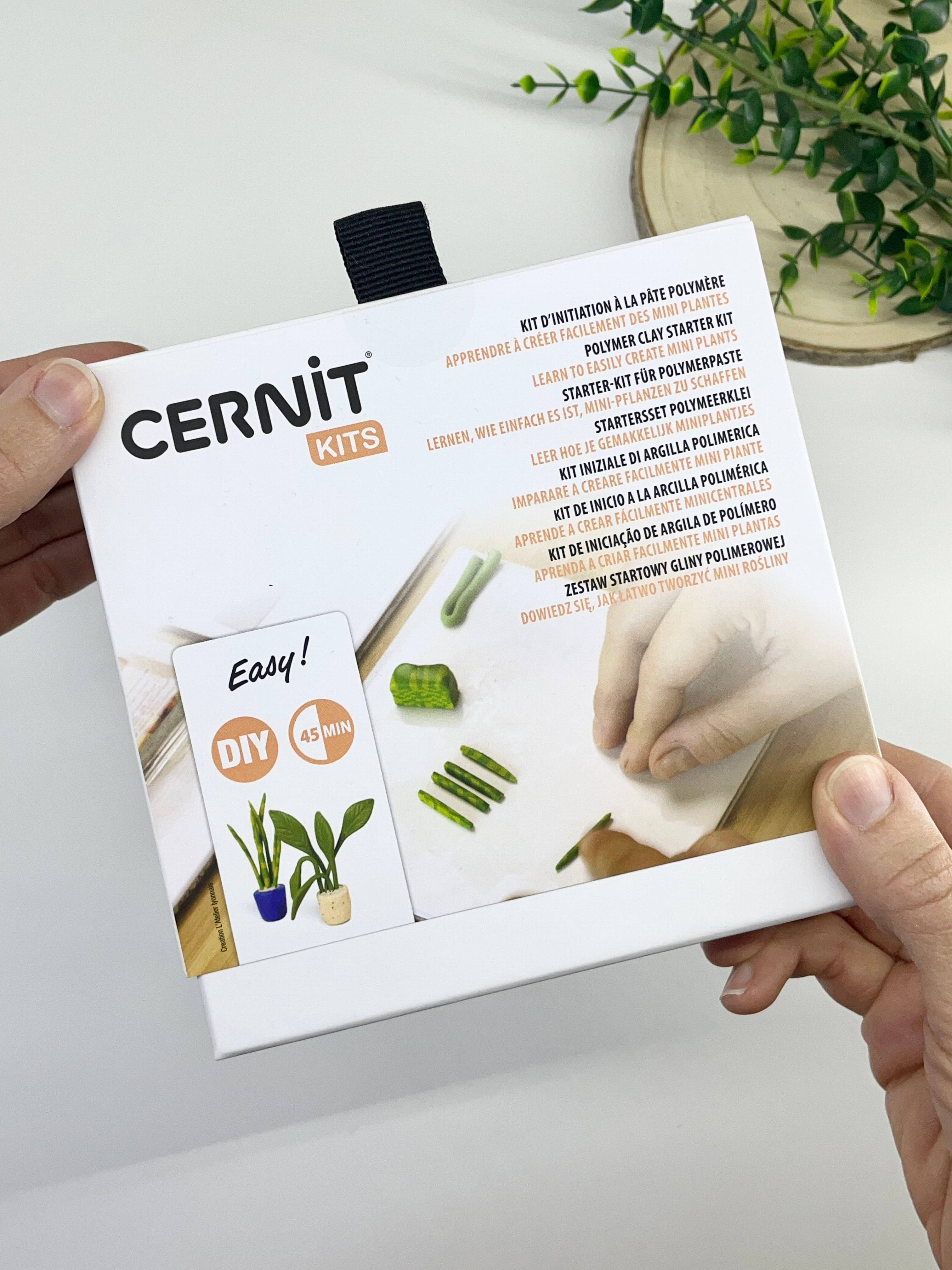 Polymer Clay Mini Plants DIY Kit