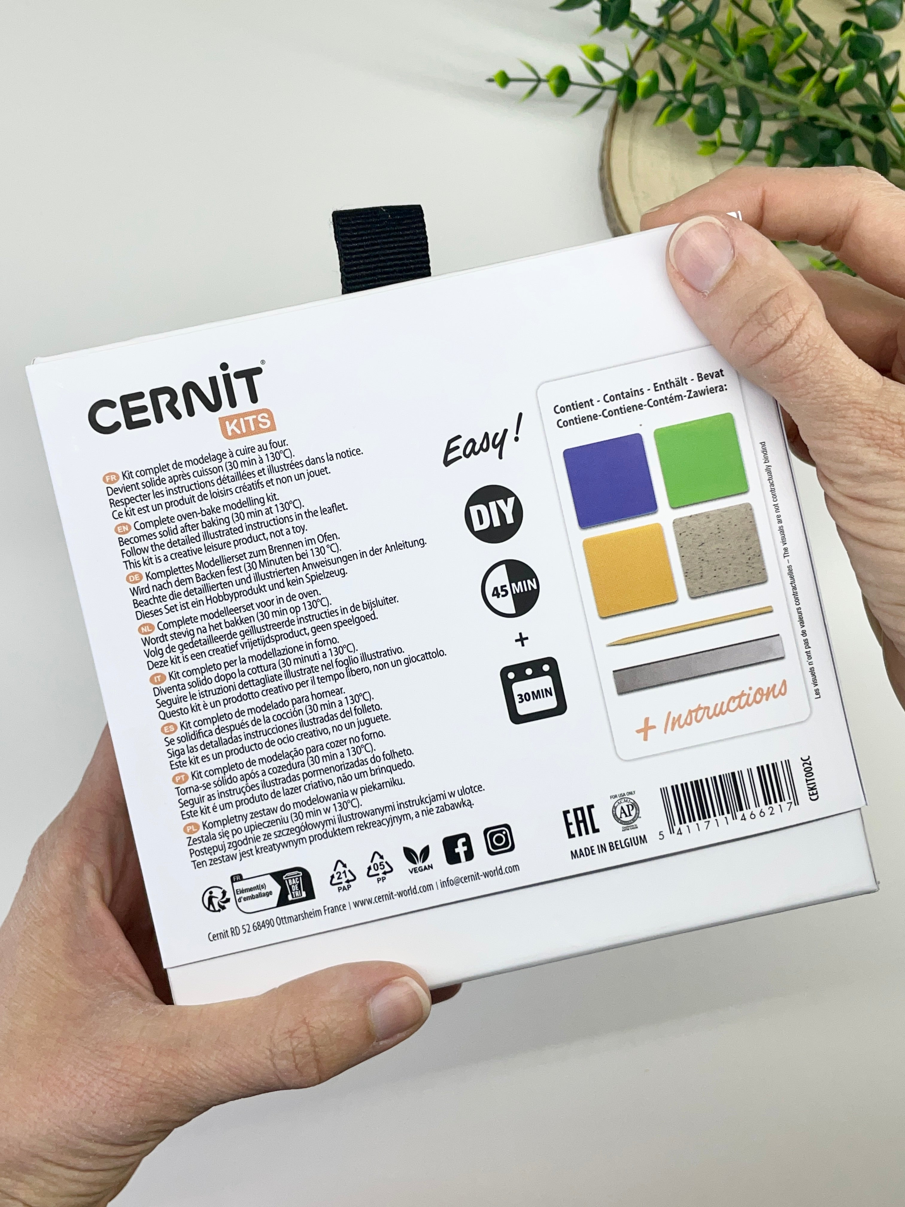 Polymer Clay Mini Plants DIY Kit