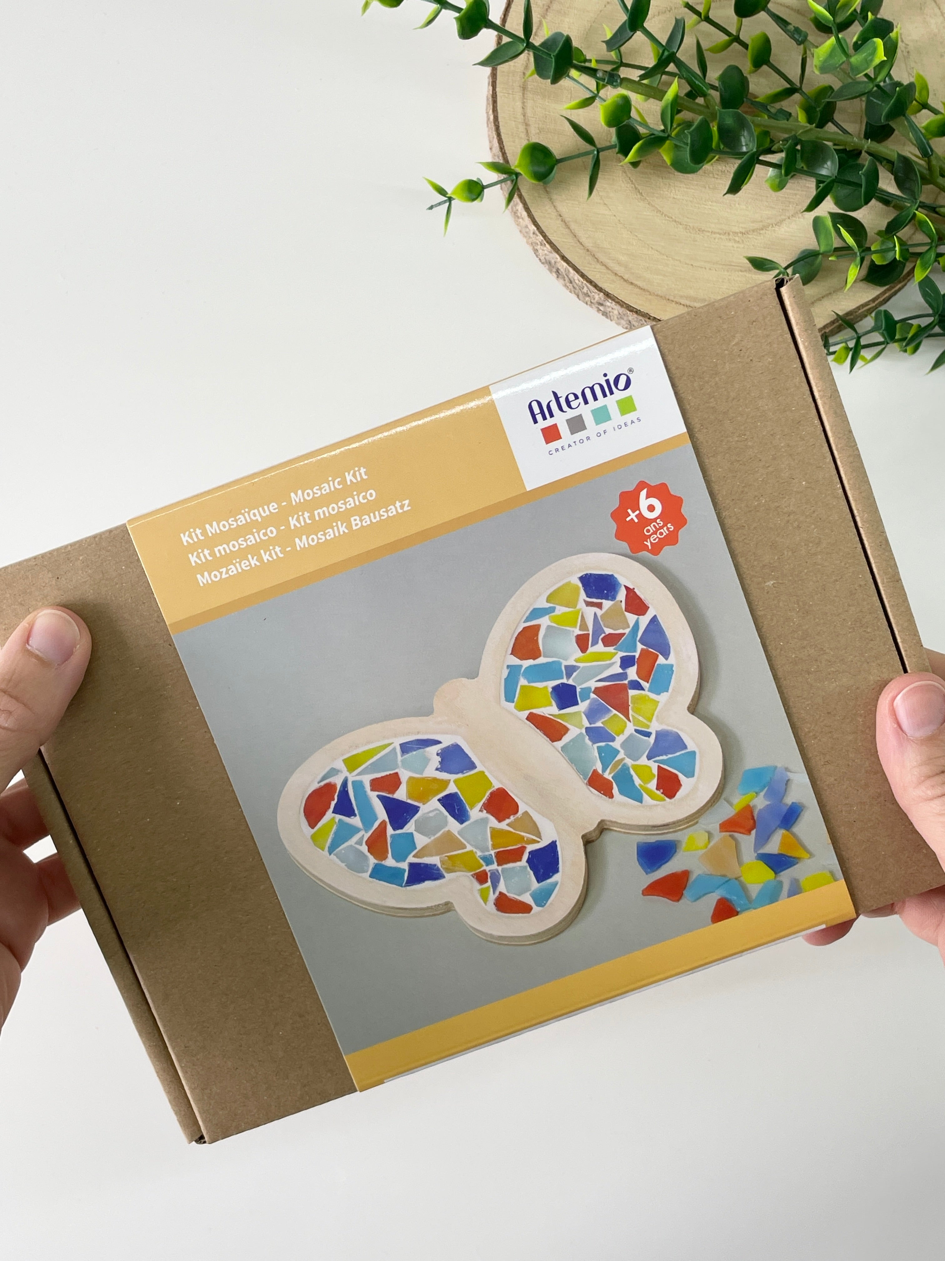 Butterfly Mosaic DIY Kit