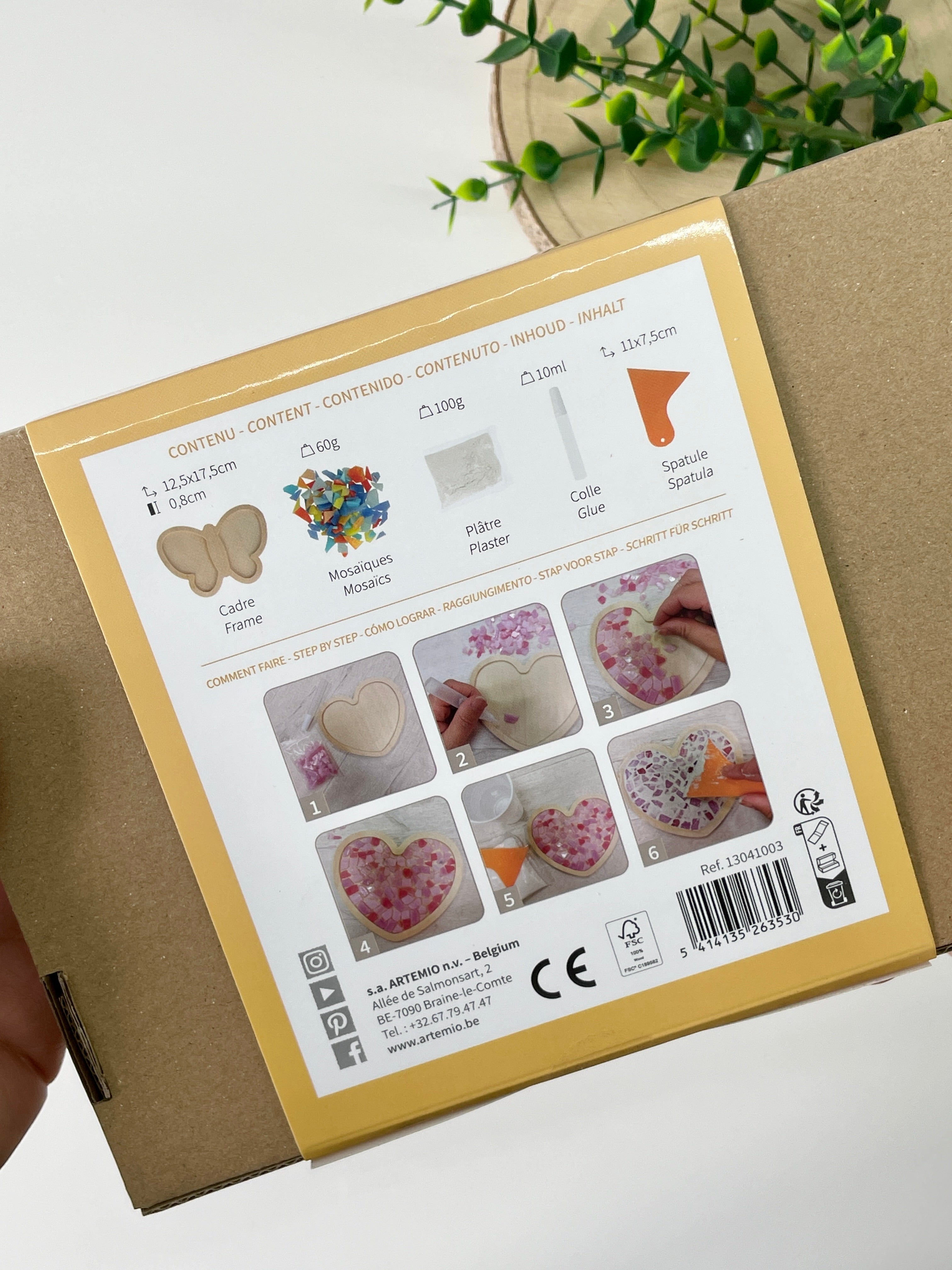 Butterfly Mosaic DIY Kit