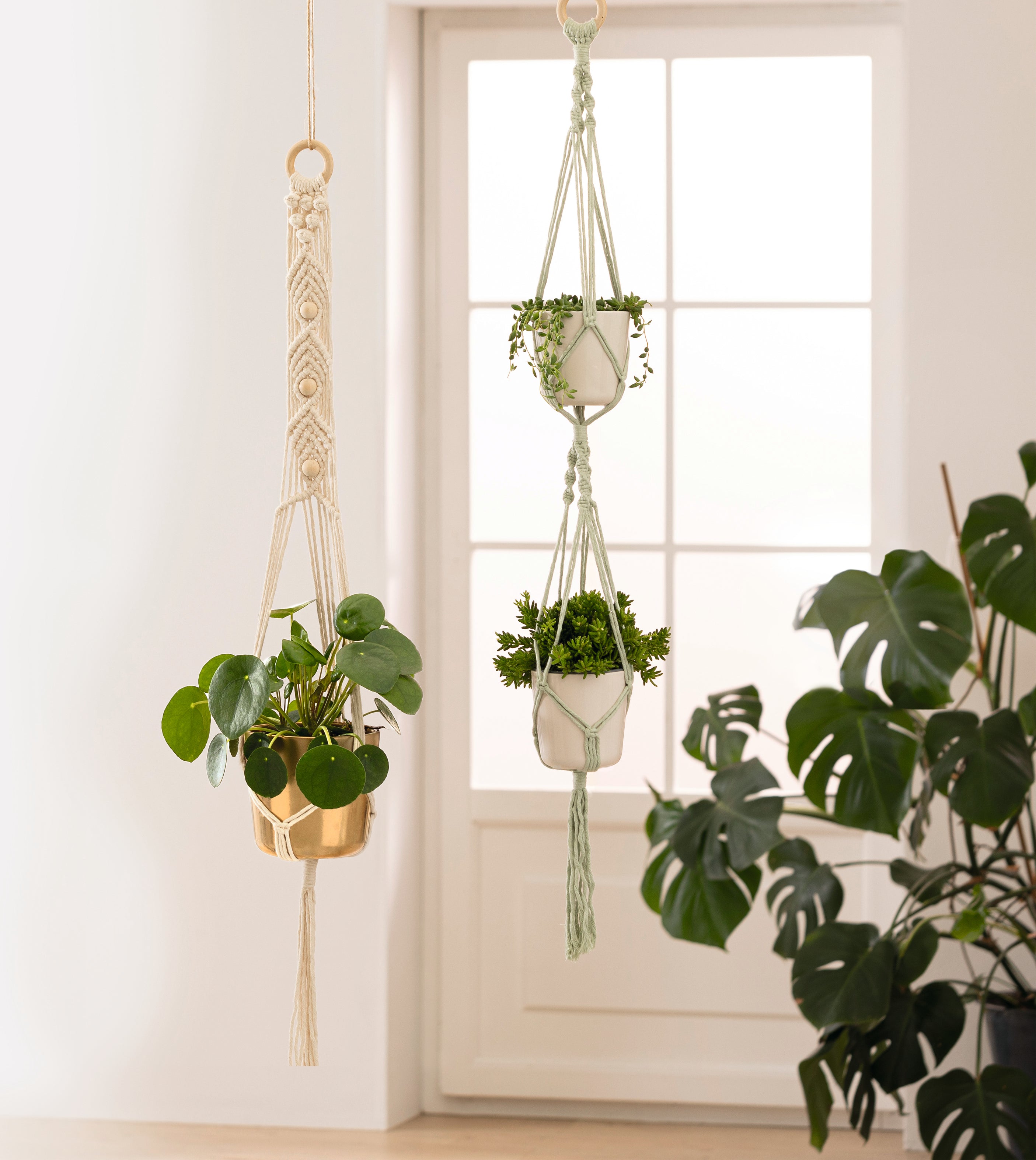 Plant Hanger Macramé Set